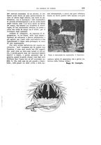 giornale/TO00182518/1916-1917/unico/00000243