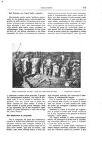 giornale/TO00182518/1916-1917/unico/00000247