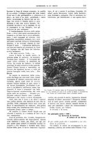 giornale/TO00182518/1916-1917/unico/00000269