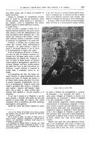 giornale/TO00182518/1916-1917/unico/00000389