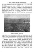 giornale/TO00182518/1916-1917/unico/00000393