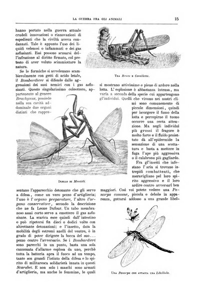 La cultura moderna rivista quindicinale illustrata