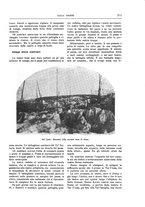 giornale/TO00182518/1916/unico/00000241