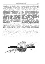 giornale/TO00182518/1916/unico/00000503