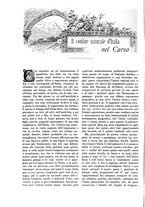 giornale/TO00182518/1916/unico/00000558