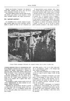 giornale/TO00182518/1916/unico/00000893