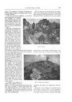 giornale/TO00182518/1917-1918/unico/00000087