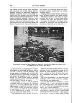 giornale/TO00182518/1917-1918/unico/00000288