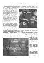 giornale/TO00182518/1917-1918/unico/00000591