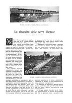 giornale/TO00182518/1921/unico/00000025