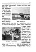 giornale/TO00182518/1923/unico/00000803