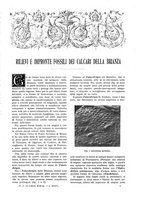 giornale/TO00182518/1926/unico/00000047