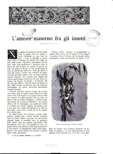 La cultura moderna rivista quindicinale illustrata