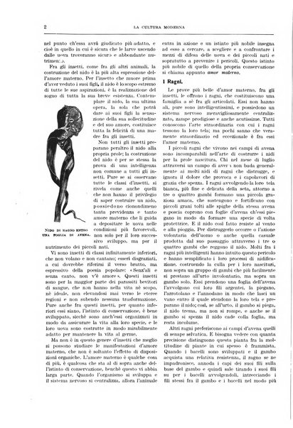 La cultura moderna rivista quindicinale illustrata