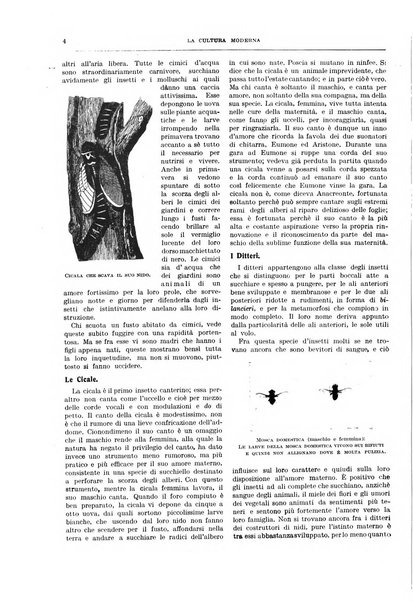 La cultura moderna rivista quindicinale illustrata