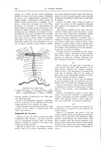 La cultura moderna rivista quindicinale illustrata