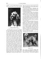 giornale/TO00182518/1930/unico/00000244