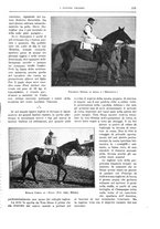 giornale/TO00182518/1933/unico/00000241