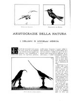 giornale/TO00182518/1933/unico/00000298