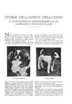 giornale/TO00182518/1935/unico/00000099