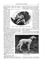 giornale/TO00182518/1935/unico/00000103