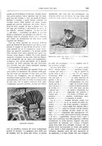 giornale/TO00182518/1936/unico/00000591