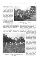 giornale/TO00182518/1937/unico/00000543