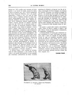 giornale/TO00182518/1938/unico/00000358