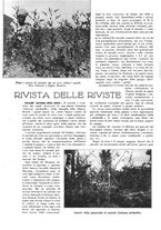 giornale/TO00182518/1939/unico/00000600