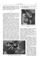 giornale/TO00182518/1940/unico/00000373