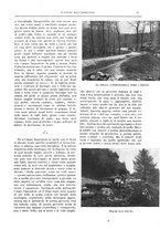 giornale/TO00182518/1941/unico/00000043