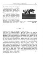 giornale/TO00182518/1942/unico/00000245