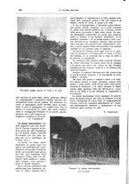 giornale/TO00182518/1943-1945/unico/00000226