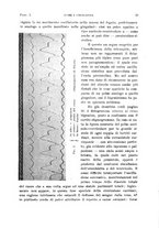 giornale/TO00182537/1924/unico/00000031