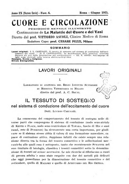 Cuore e circolazione periodico mensile illustrato