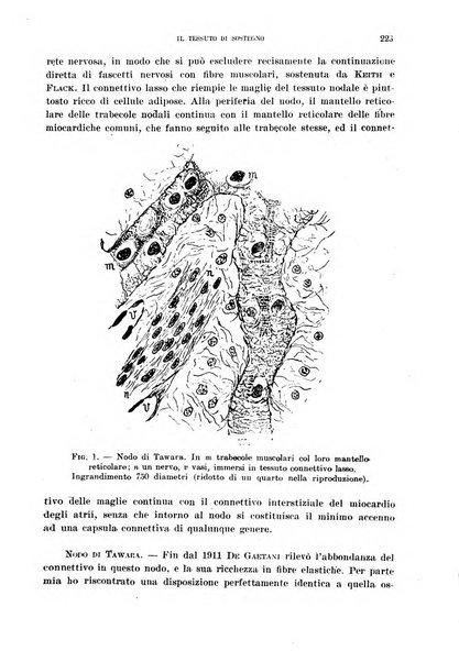 Cuore e circolazione periodico mensile illustrato