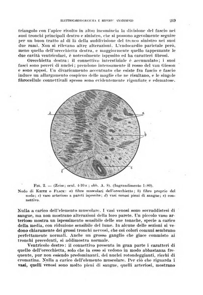 Cuore e circolazione periodico mensile illustrato