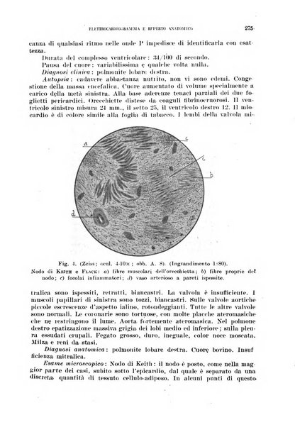 Cuore e circolazione periodico mensile illustrato