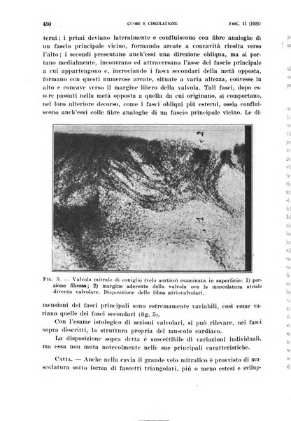 Cuore e circolazione periodico mensile illustrato