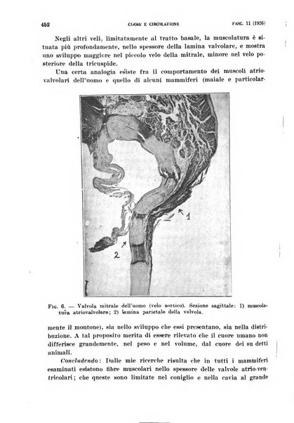 Cuore e circolazione periodico mensile illustrato