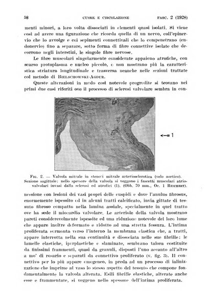 Cuore e circolazione periodico mensile illustrato