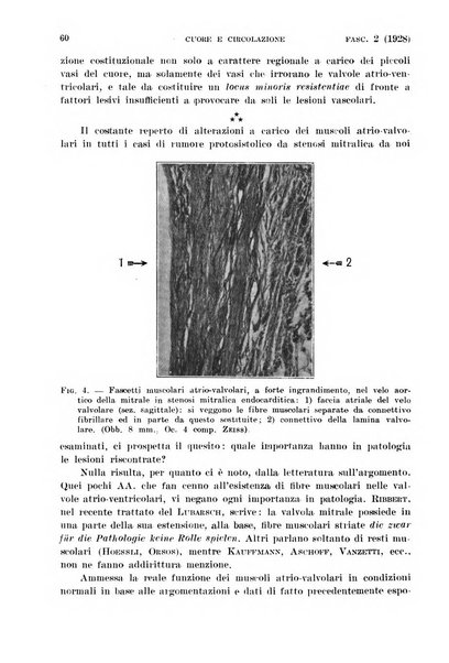 Cuore e circolazione periodico mensile illustrato