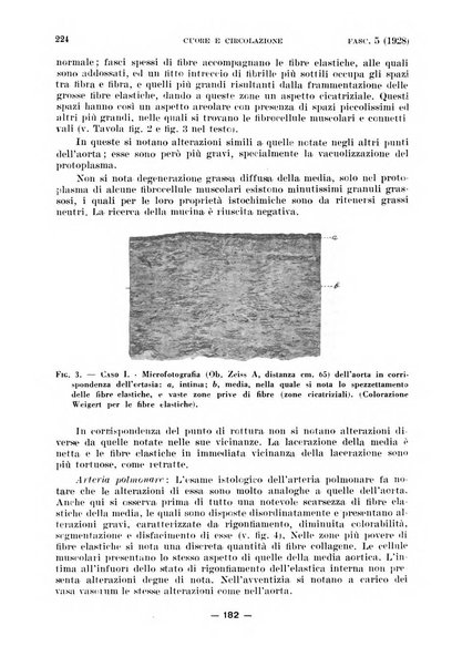 Cuore e circolazione periodico mensile illustrato