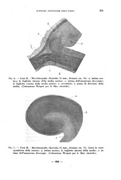 Cuore e circolazione periodico mensile illustrato