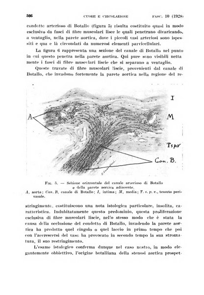 Cuore e circolazione periodico mensile illustrato