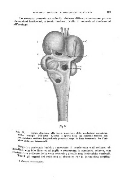 Cuore e circolazione periodico mensile illustrato