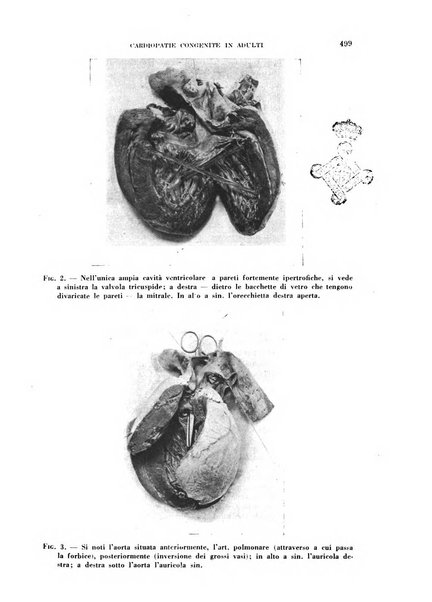 Cuore e circolazione periodico mensile illustrato