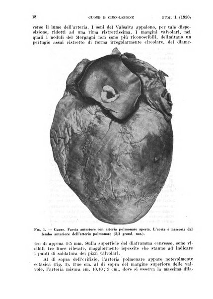 Cuore e circolazione periodico mensile illustrato