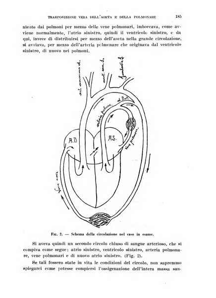 Cuore e circolazione periodico mensile illustrato