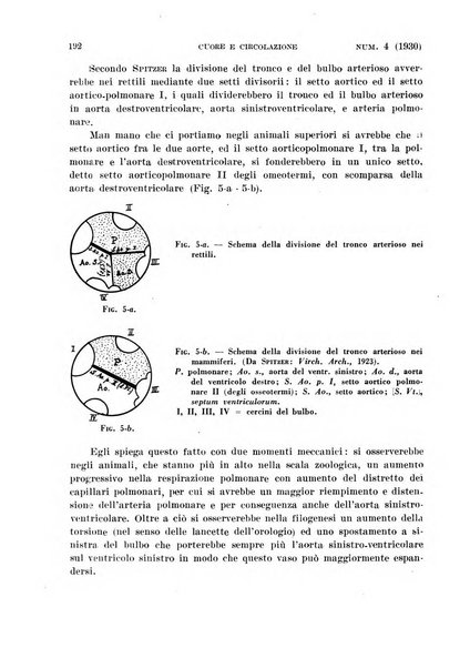 Cuore e circolazione periodico mensile illustrato